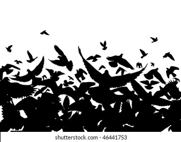 Vector foreground of a flock of pigeons with each bird as a separate object