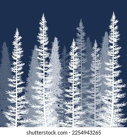 vector forest background. white spring or winter woods, nature forest landscape with evergreen coniferous trees covered with snow. morning woodland scene illustration. pine tree woods silhouette