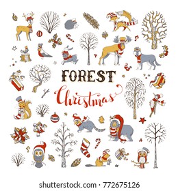 Vector forest Christmas set. Winter trees and forest animals in Santa hat and scarf. Moose, bear, fox, wolf, deer, owl, hare, squirrel, raccoon, hedgehog, birds, gift boxes and Christmas baubles.