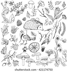 Vector forest elements. Doodle set of plants, animals, birds, berries, mushrooms in cartoon style.