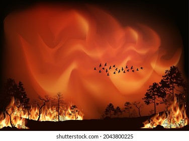 Vector forest fire, pine trees in fire flames. A helicopter extinguishes a forest fire