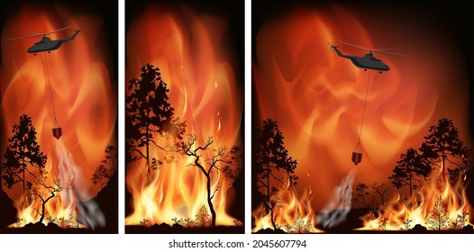 Vector forest fire, pine trees in fire flames. A helicopter extinguishes a forest fire. 