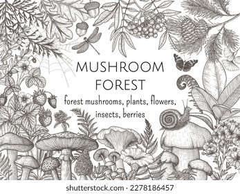 Vector forest frame and mushrooms  plants  insects  berries  Fly agaric  chanterelles  white mushroom  honey mushrooms  boletus  snail  strawberry  fern  butterflies  dragonfly  spruce  mountain ash