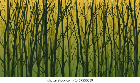 vector forest illustration, bare branches and trees silhouettes, sunlight trough woods