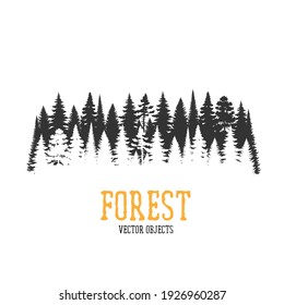 Vector forest illustration. Monochrome illustration with a forest.