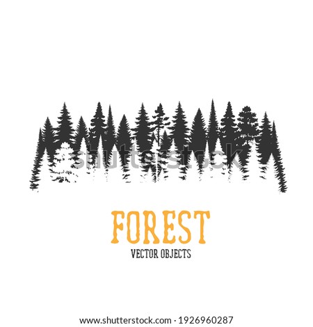 Vector forest illustration. Monochrome illustration with a forest.