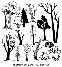  Vector forest illustration on white background. 