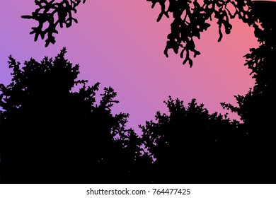 Vector forest landscape silhouette. Realistic trees, woods silhouettes in night and evening sky. Outdoor nature scene with pine and spruces