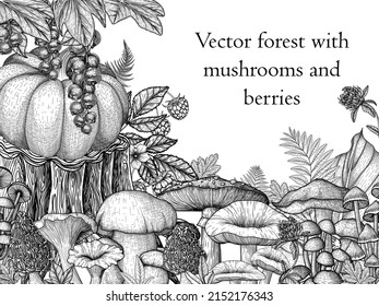 Vector forest of mushrooms and berries in engraving style. Linear stump, pumpkin, fly agaric, chanterelles, porcini mushrooms, currants, mushrooms, raspberries, morel, mycena, russula, boletus