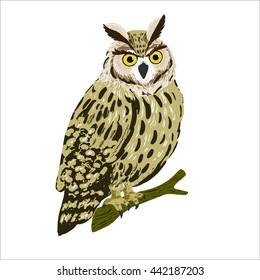 vector of forest owl