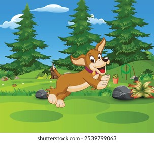 vector forest scene with various forest trees, vector a flat nature background, vector forest scene with hiking track and many trees
