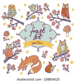 Vector forest set - stunning colorful cartoon set with owls, birds, fox, stars, hedgehog, flowers and mushrooms. Sweet childish background in vector