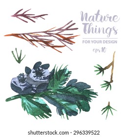 A Vector forestry Collection of Painted branches.Watercolor Vector nature set.Colorful floral collection flowers and twigs, needles and berries for invitation, wedding or greeting cards.Winter Wedding
