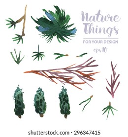 A Vector forestry Collection of Painted branches.Watercolor Vector nature set.Colorful floral collection flowers and twigs, needles and berries for invitation, wedding or greeting cards.Winter Wedding