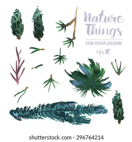 A Vector forestry Collection of Painted branches.Watercolor Vector nature set.Colorful floral collection flowers and twigs, needles and berries for invitation, wedding or greeting cards.Winter Wedding