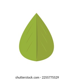 a vector in the form of a wide leaf that is light green rather dark