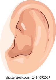 Vector format for ear design