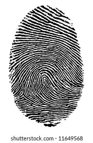 Vector format of finger print.