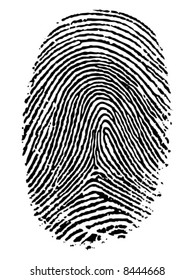 Vector format of finger print.