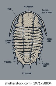 Vector fossil pattern designs for kids.