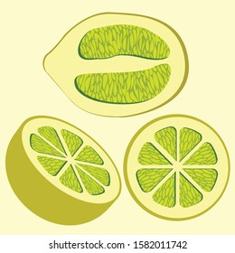 vector of four divided lemons viewed from various angles