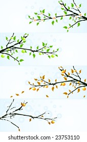 vector four seasons floral backgrounds with apple tree. Elements for design