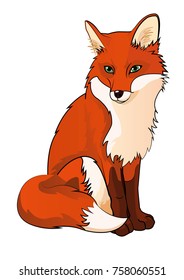 Vector Fox design cartoon 