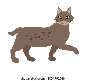 Vector fox european forest animal flat cartoon style ethnic hand drawn foorest lynx