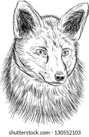 vector - fox head isolated on background