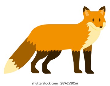 Vector Fox Illustration Isolated On White Background