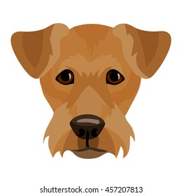 Vector fox terrier dog face icon head