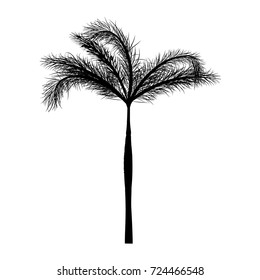 Vector foxtail palm tree silhouette icons on white background