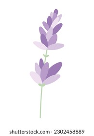 Vector fragante aislado, espiral de lavanda con pétalos y hojas de estilo plano.