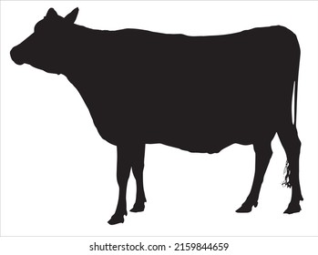 Vector frame with abstract cow skin texture.eps