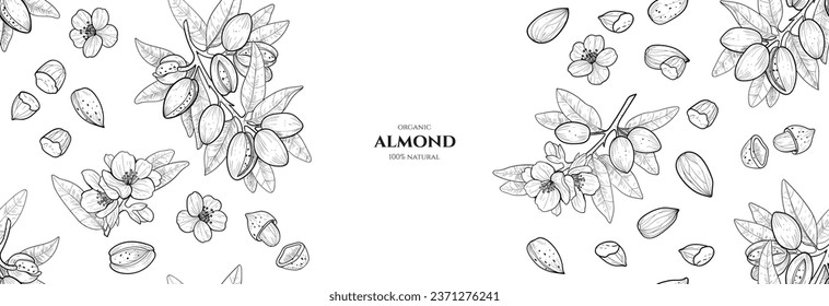 Vector frame with almond. Hand drawn illustrations. Vector seamless pattern. 