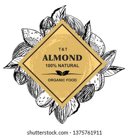 Vector frame with Almonds. Hand drawn sketches vector illustration on white background in vintage style.