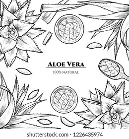Vector frame with aloe vera. Hand drawn. Vintage style