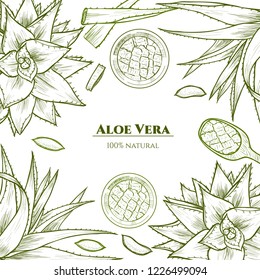 Vector frame with aloe vera. Hand drawn. Vintage style
