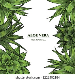 Vector frame with aloe vera. Hand drawn. Vintage style
