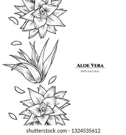 Vector frame with aloe vera. Hand drawn. Vintage style