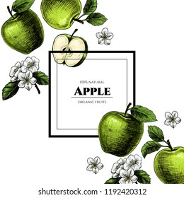 Vector frame with apples. Hand drawn. Vintage style