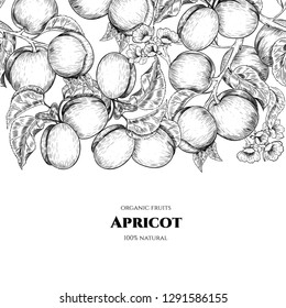 Vector frame with apricots and flowers. Hand drawn. Vintage style