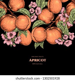 Marco vectorial con albaricoques y flores. Dibujado a mano. Estilo vintage