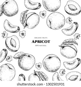 Vector frame with apricots and flowers. Hand drawn. Vintage style