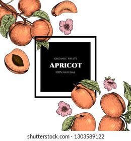 Vector frame with apricots and flowers. Hand drawn. Vintage style