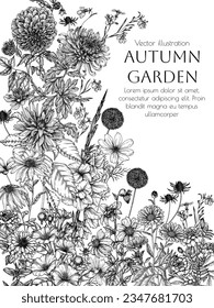 Vector frame autumn flowers. Dahlia, cosmos, zinnia, marigold, calendula, rudbeckia, gladiolus, datura, eryngium, allium, chrysanthemum, lobelia in engraving style