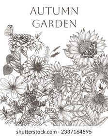 Vector frame autumn garden. Cosmos flowers, zinnias, echinacea and sunflowers surrounded by butterflies in engraving style