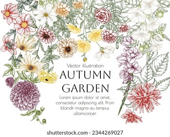 Vector frame autumn garden. Dahlia, cosmos, zinnia, marigold, calendula, rudbeckia, gladiolus, datura in engraving style