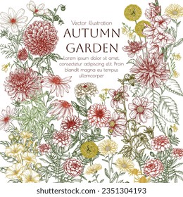 Vector frame autumn garden. Dahlia, cosmos, zinnia, marigold, calendula, rudbeckia, gladiolus, datura, eryngium, allium, chrysanthemum, lobelia in engraving style