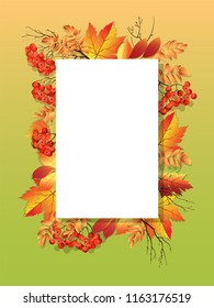 Vector frame of autumn leaves and Rowan berries . As a design element.